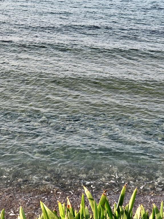 Frosso'S Sea Apartments Kokkini Hani Eksteriør billede